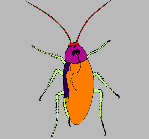 Coloring page Large cockroach painted bygrilo