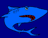 Coloring page Shark painted byvictor