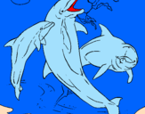 Coloring page Dolphins playing painted byvictor