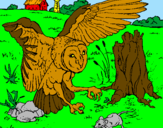 Coloring page Owl hunting painted byMATEUS