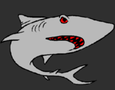 Coloring page Shark painted bymaria 
