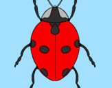 Coloring page Ladybird painted bymaria 