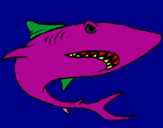 Coloring page Shark painted byuttu
