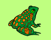 Coloring page Frog painted byangah