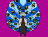 Coloring page Peacock painted bycara
