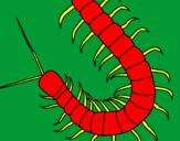 Coloring page Centipede painted byL.G