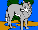 Coloring page Wolf painted byL.G