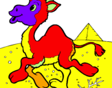 Coloring page Camel painted bymichal