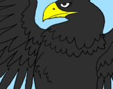 Coloring page Roman Imperial Eagle painted byL.G