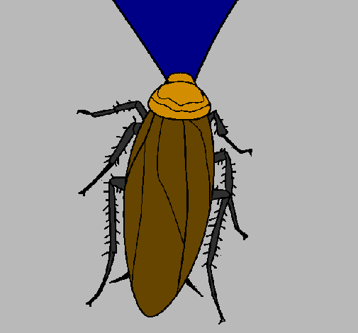 Coloring page Cockroach painted byangah