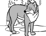 Coloring page Wolf painted byJenna