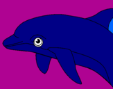 Coloring page Dolphin painted byisi
