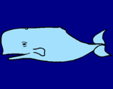 Coloring page Blue whale painted bysantos y iker