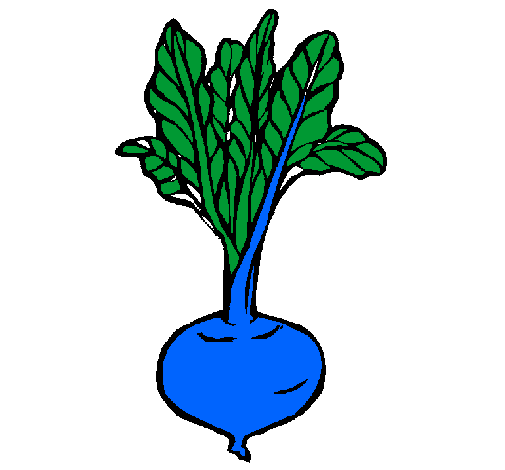 Coloring page beetroot painted byivanmo