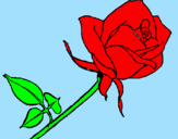 Coloring page Rose painted byflick