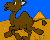Coloring page Camel painted byshannon