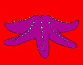 Coloring page Starfish painted byyrewqazxvbnm,.dfghjklzdfg