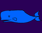 Coloring page Blue whale painted byR