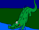 Coloring page Alligator entering water painted byangah