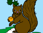 Coloring page Squirrel painted byJenna