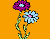 Coloring page Daisies painted bygal.la