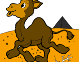 Coloring page Camel painted byjonathan