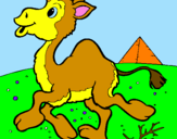 Coloring page Camel painted byfabiola
