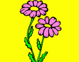 Coloring page Daisies painted byPAOLA