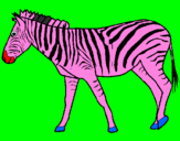 Coloring page Zebra painted byJennifer