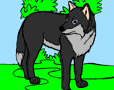 Coloring page Wolf painted bywolf 