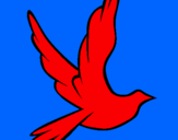 Coloring page Dove of peace in flight painted bytaty