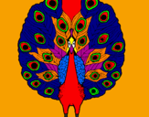 Coloring page Peacock painted bytaty