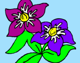 Coloring page Flowers painted byMelissa