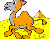 Coloring page Camel painted byfrida