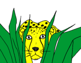 Coloring page Cheetah painted bySabor