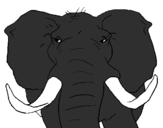Coloring page African elephant painted byHathi