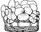 Coloring page Basket of flowers 12 painted by1