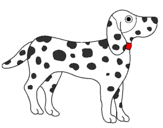 Coloring page Dalmatian painted bygrady rose spot