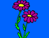 Coloring page Daisies painted bytrinidad5