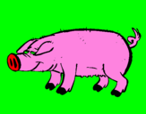 Coloring page Pig with black trotters painted byisabella