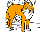 Coloring page Wolf painted byWolf