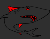 Coloring page Shark painted byvictor to natalie
