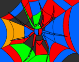 Coloring page Spider painted byemma