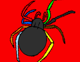 Coloring page Poisonous spider painted byemma