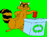 Coloring page Raccoon recycling painted byqwertyuiopasdfghjklzxcvbn