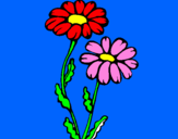 Coloring page Daisies painted byemma
