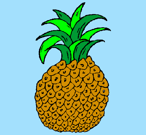 Coloring page pineapple painted byEllie age  6
