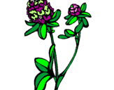 Coloring page Flower painted byaya
