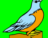 Coloring page Robin painted byPAMELA C.B.