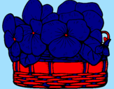Coloring page Basket of flowers 12 painted bynose